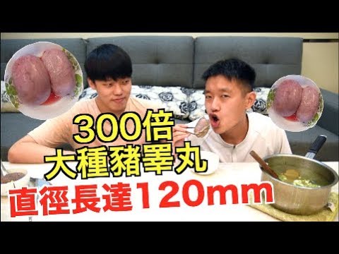 【狠爱演】300倍大种猪睾丸!!『直径长达120mm』哔哩哔哩bilibili