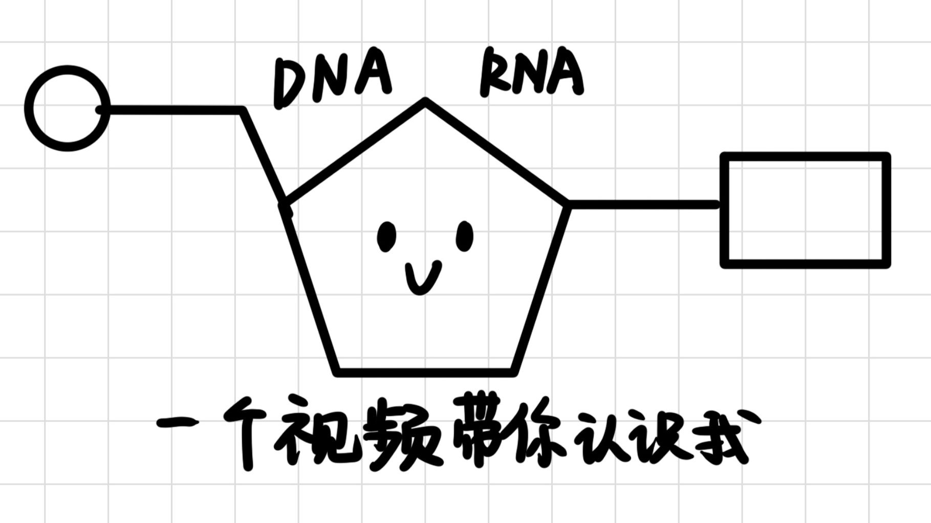 一个视频带你认识(脱氧)核苷酸