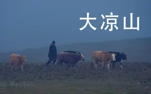 Descargar video: 走进大凉山 | 这里曾经是中国最贫穷的地方之一