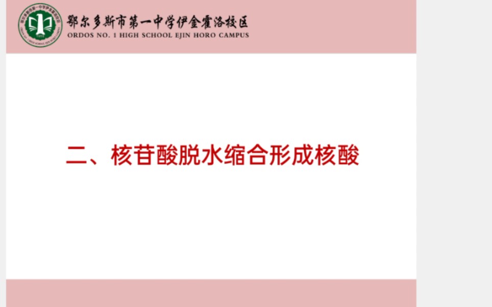 单体如何构成多聚体(核苷酸脱水缩合形成核酸)哔哩哔哩bilibili