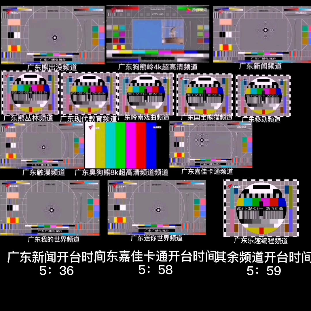 广东广播电视台非24小时开台哔哩哔哩bilibili