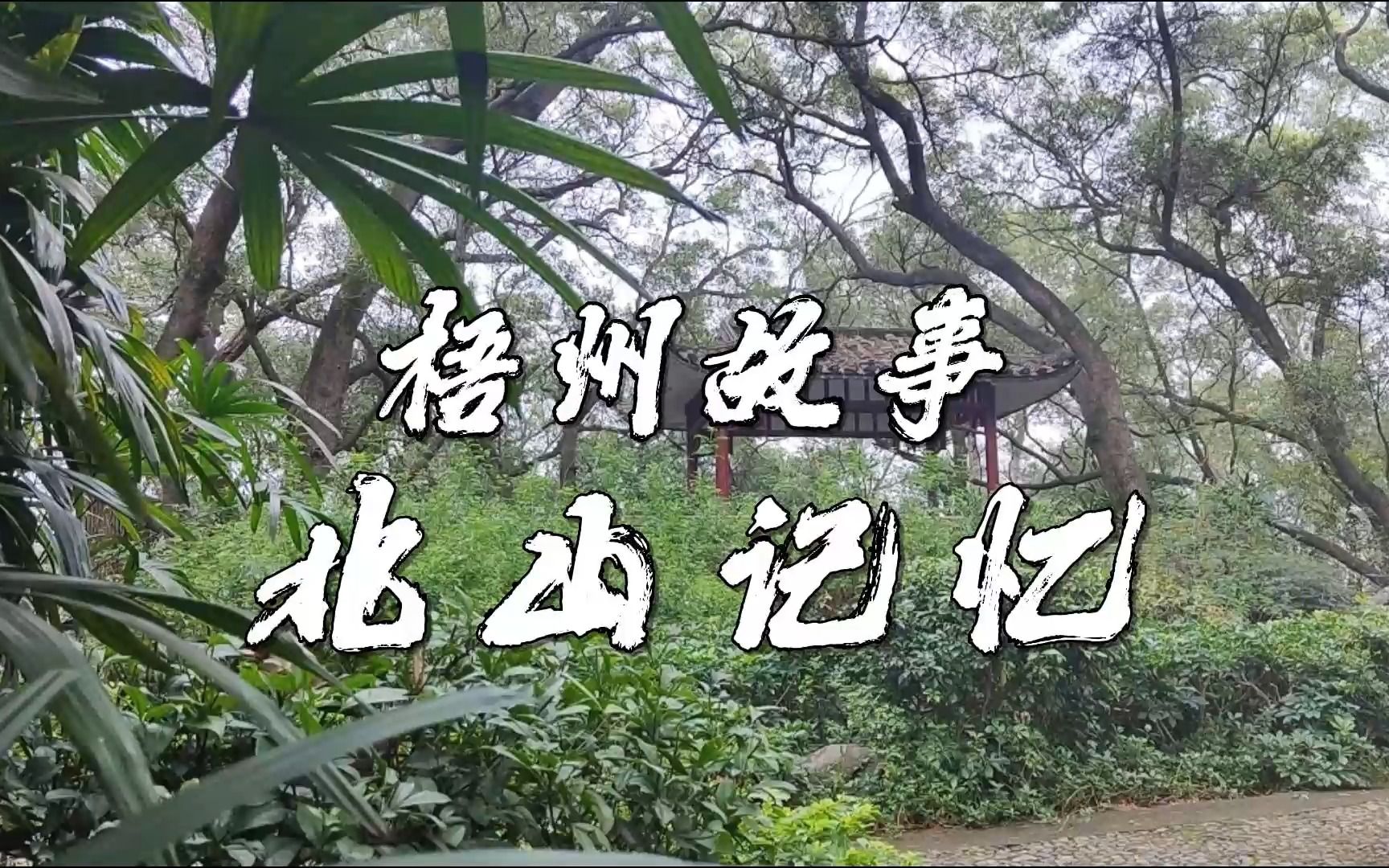 你还记得中山公园的北苑吗?哔哩哔哩bilibili