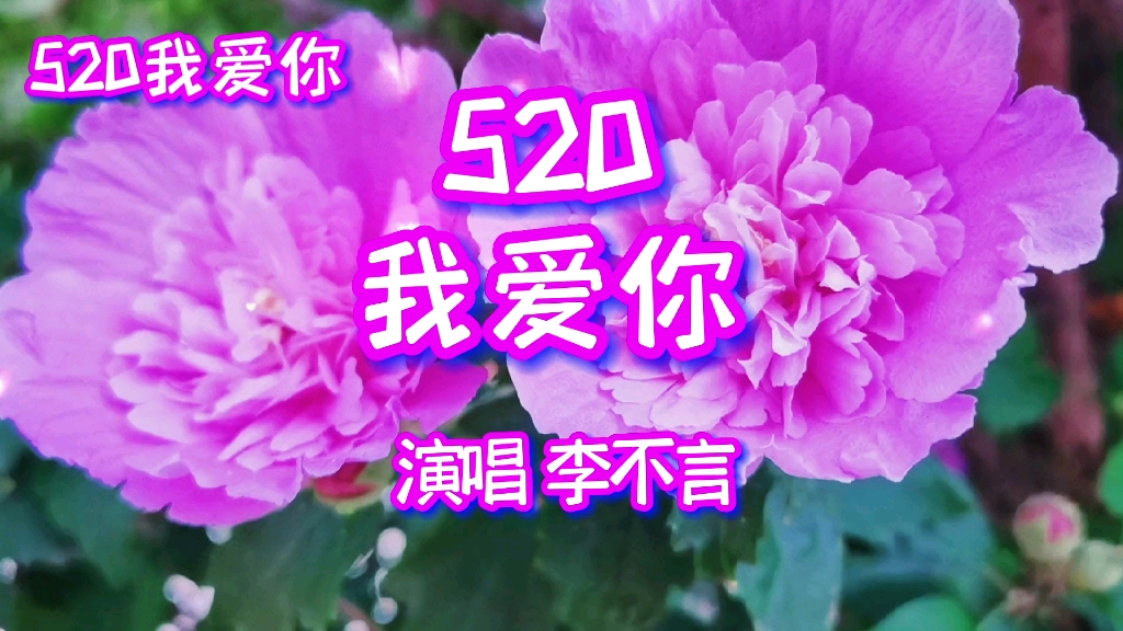 [图]《520我爱你》，我与你作伴，携手走过漫漫人生路