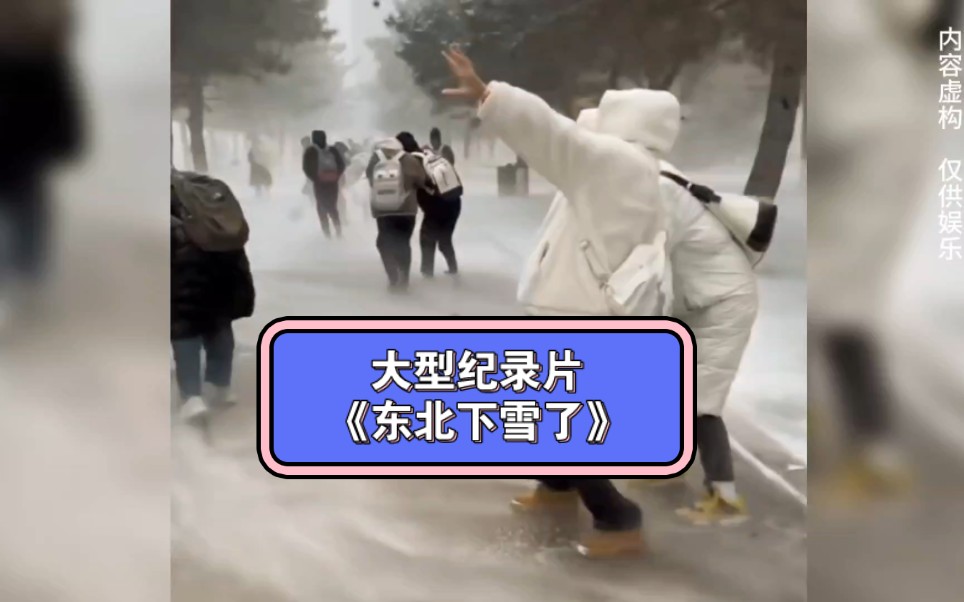 [图]大型纪录片《东北下大雪了》正在为您播出……