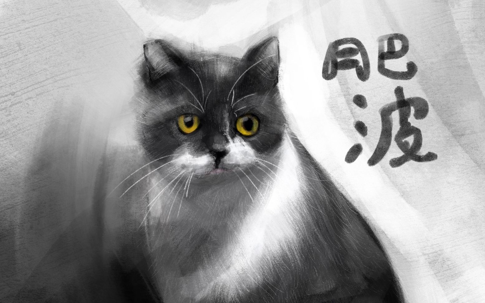 平时画火柴人的我如何用ipadpro画出自家的猫_哔哩哔哩_bilibili