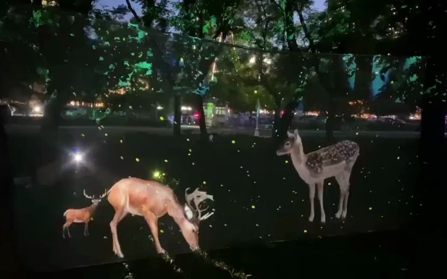 户外全息纱幕应用