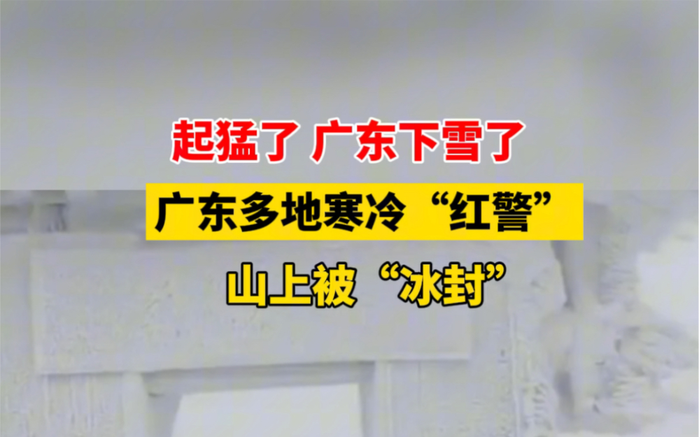 起猛了 #广东下雪了 !广东多地发布寒冷“红警”,山上被“冰封”!哔哩哔哩bilibili