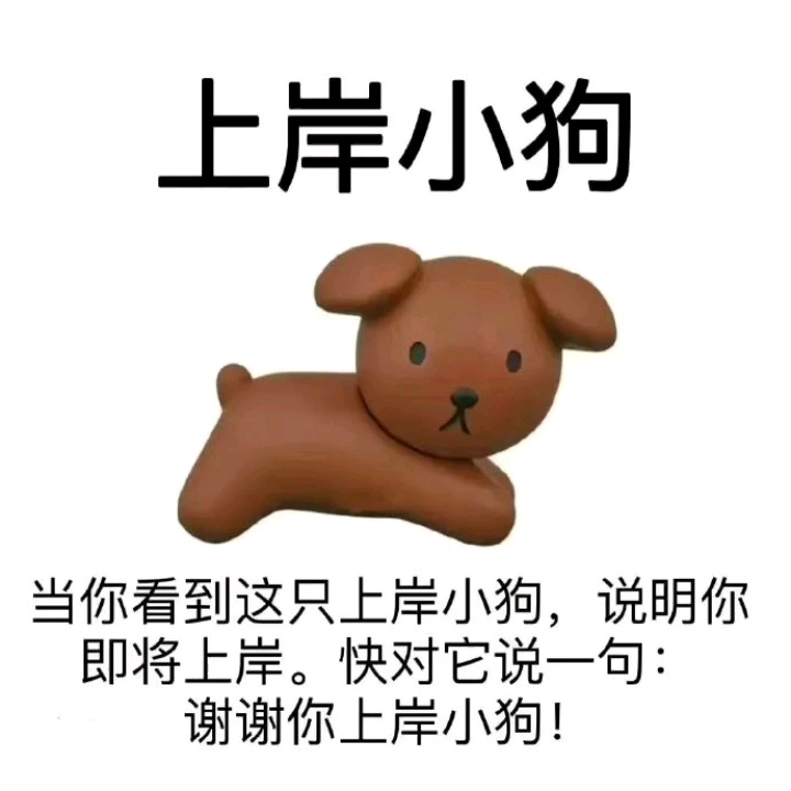 谢谢你上岸小狗 真的不要在家考研真的不要在家考研真的不要在家考研