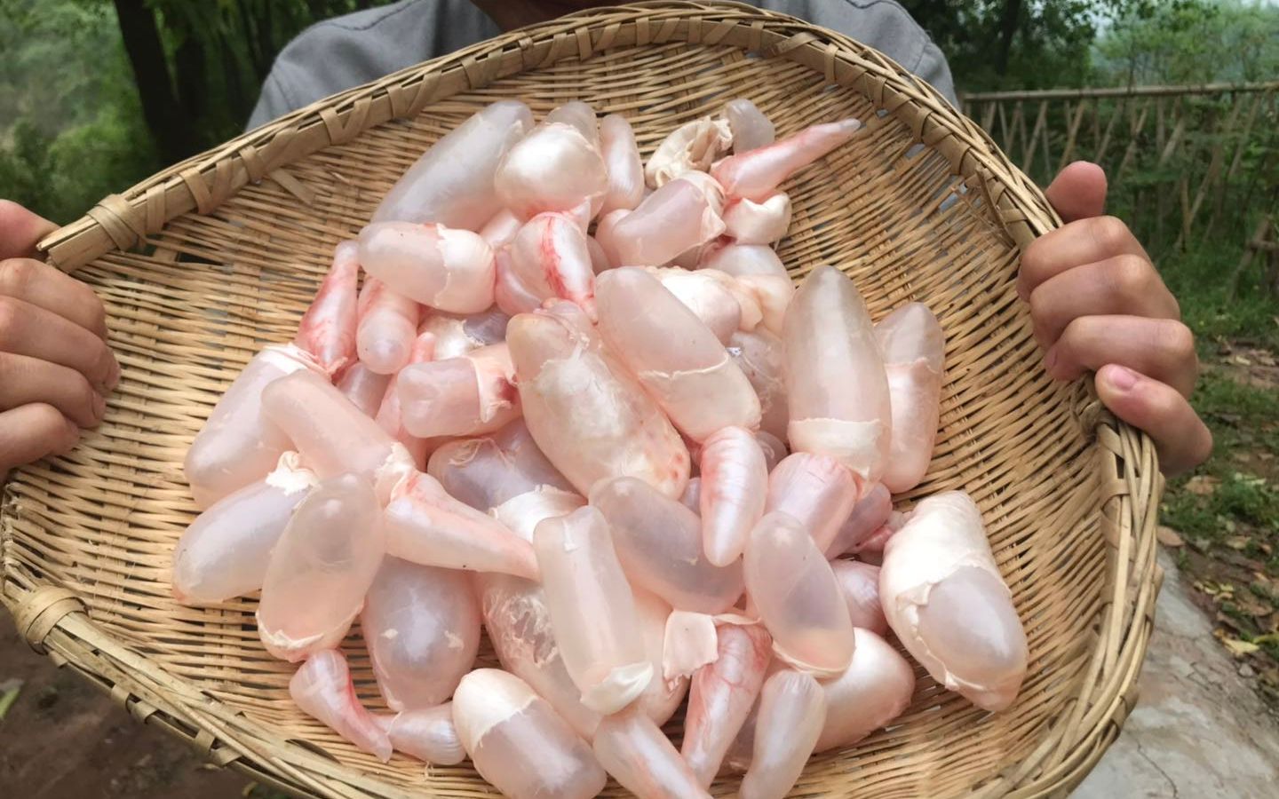 一筐鱼泡,小伙拿去煎,最后全干光了