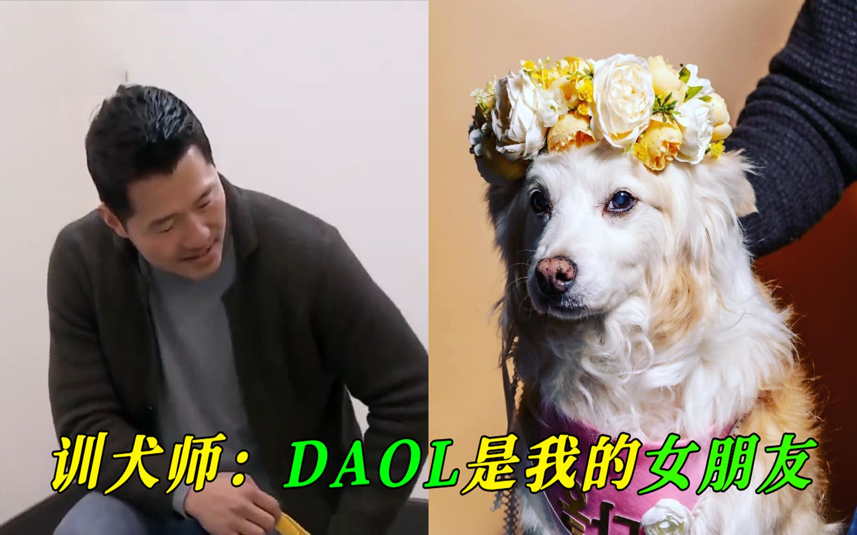 向爱犬说再见有多困难?训犬师和爱犬Daol的故事哔哩哔哩bilibili