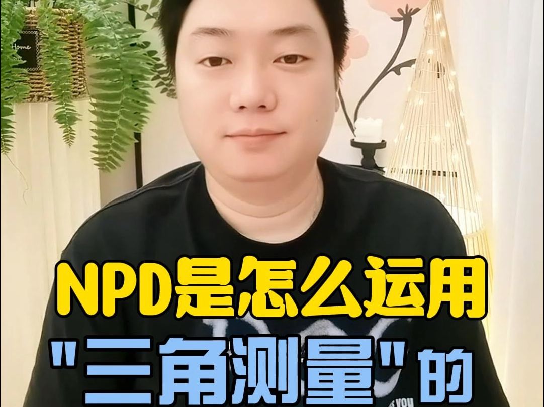 NPD的三角测量哔哩哔哩bilibili