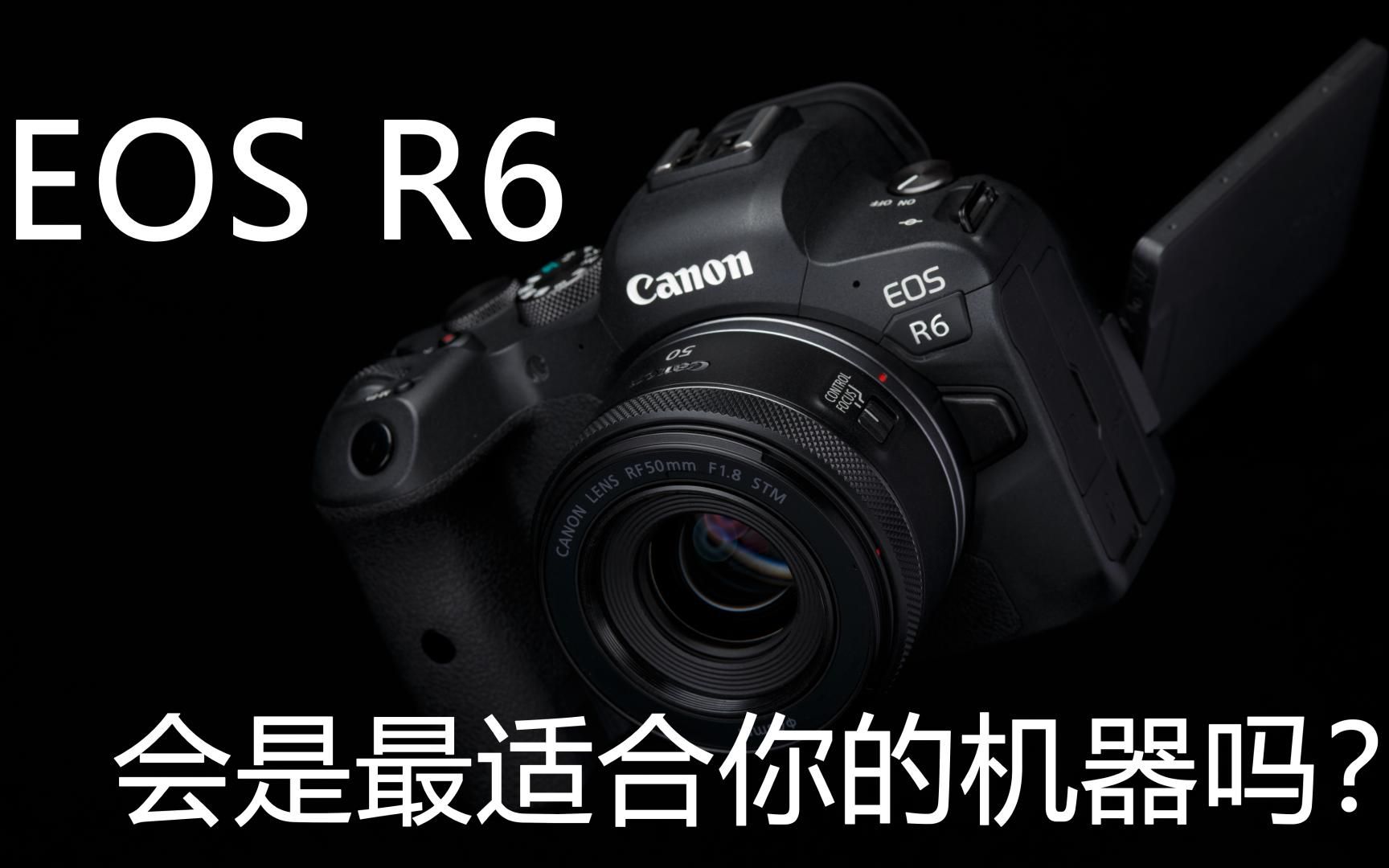 [图]【椰奶说】EOS R6深度使用分享