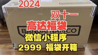 Download Video: 2024 万代 双十一 高达福袋 2999 福袋开箱 10.5KG