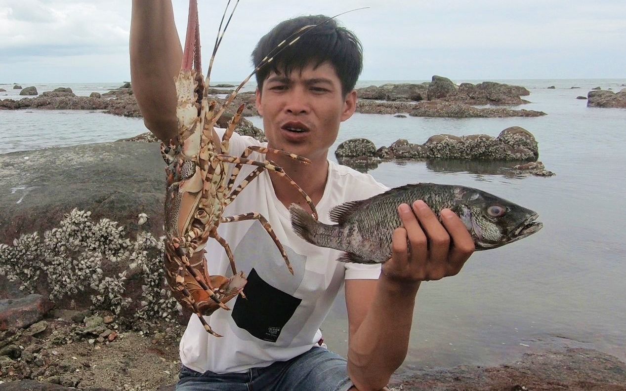 阿强台风后赶海,抓到三百块一斤的大龙虾,吃一只就可以吃饱了_哔哩