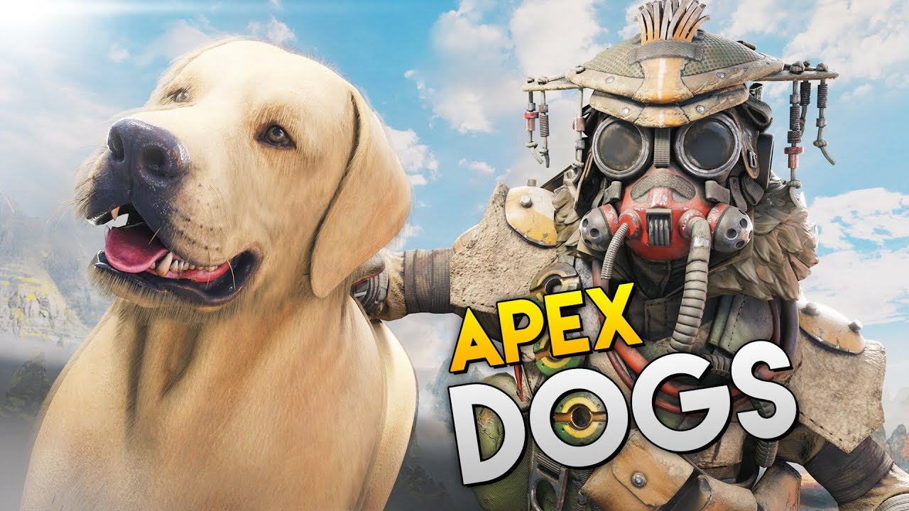 apex英雄每日搞笑精彩锦集ep.257 - *easter egg* dog in apex?