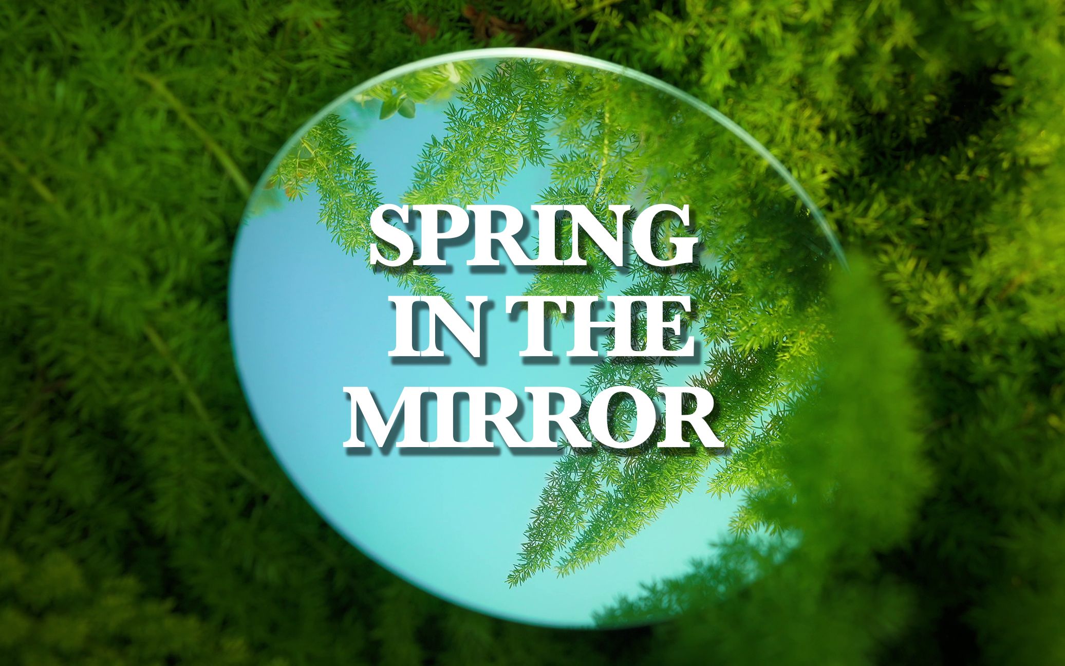 [图]Spring in the Mirror / 镜子里的春天