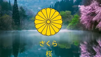 川崎さくら-哔哩哔哩_Bilibili