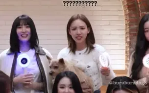 总有人在不合群的TWICE