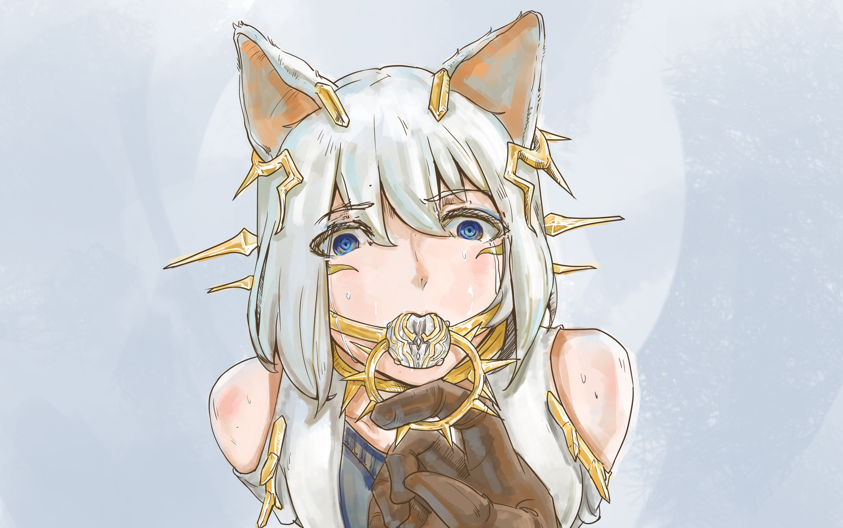 星际战甲warframe谁是最强单持副手秩序p潘德罗仙乐p对比