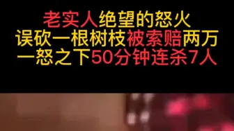 Download Video: 老实人绝望的怒火，误砍一根树枝被索赔两万。一怒之下50分钟连动7人，