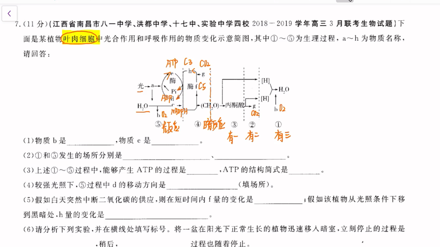 七题,光合题,下面是某植物叶肉细胞中光合作用和呼吸作用的物质变化示意简图,其中1到5为生理过程,a到h为物质名称,请回答.哔哩哔哩bilibili