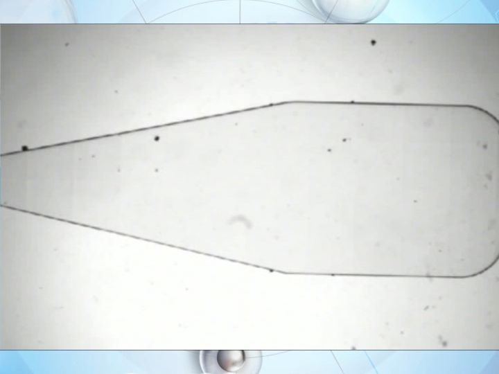 【生物制造前沿速递】上海微系统所赵建龙团队&上海海洋大学卞晓军团队:一种集成微流控芯片,能够同时检测12种常见呼吸道病原体哔哩哔哩bilibili