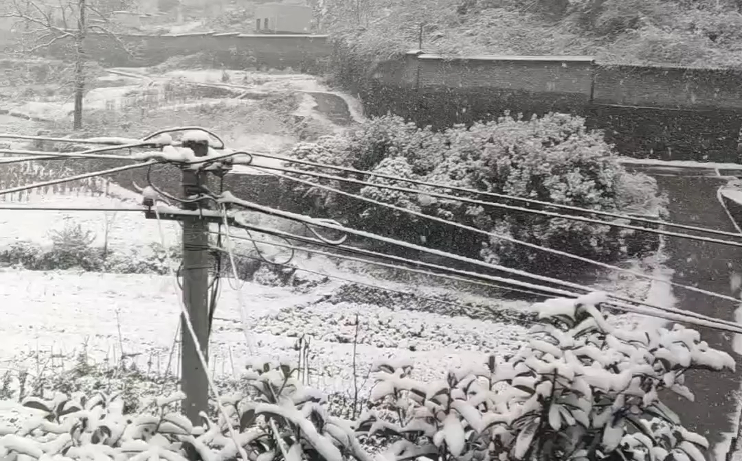 [图]好想时间就停留在这一刻