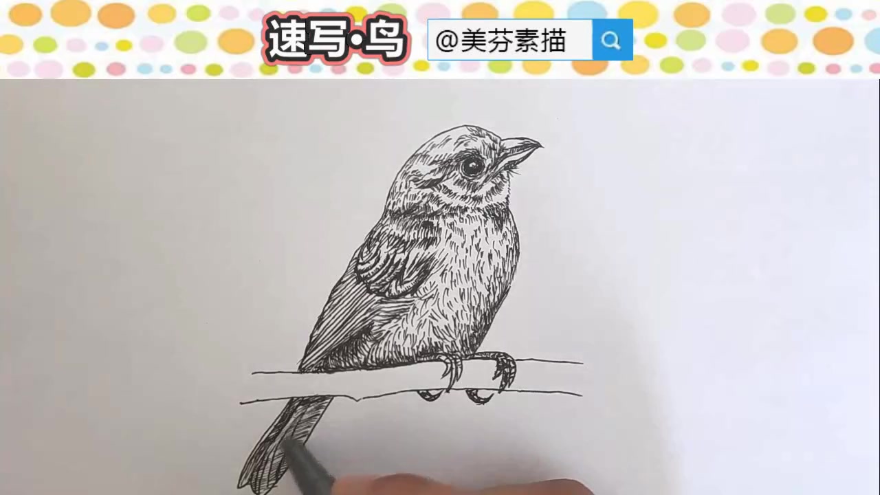 动物小鸟速写基础学习课:教你画一只超逼真栩栩如生的小麻雀速写手绘画!哔哩哔哩bilibili