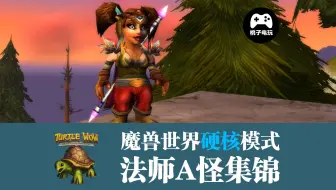 硬核法师野外A怪集锦 魔兽世界HC硬核流浪模式 WOW香草怀旧服一命模式