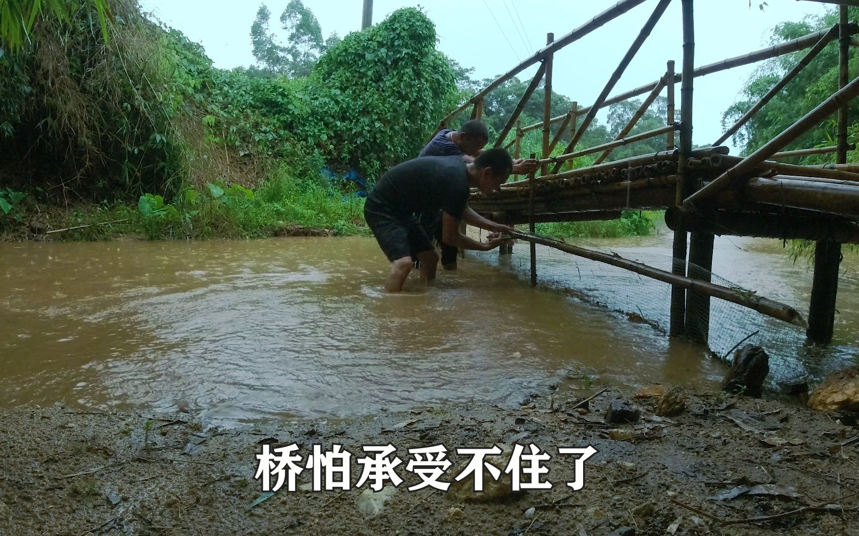 洪水来了,M仔担心竹桥被冲毁,两人冒着大雨清桥网!哔哩哔哩bilibili