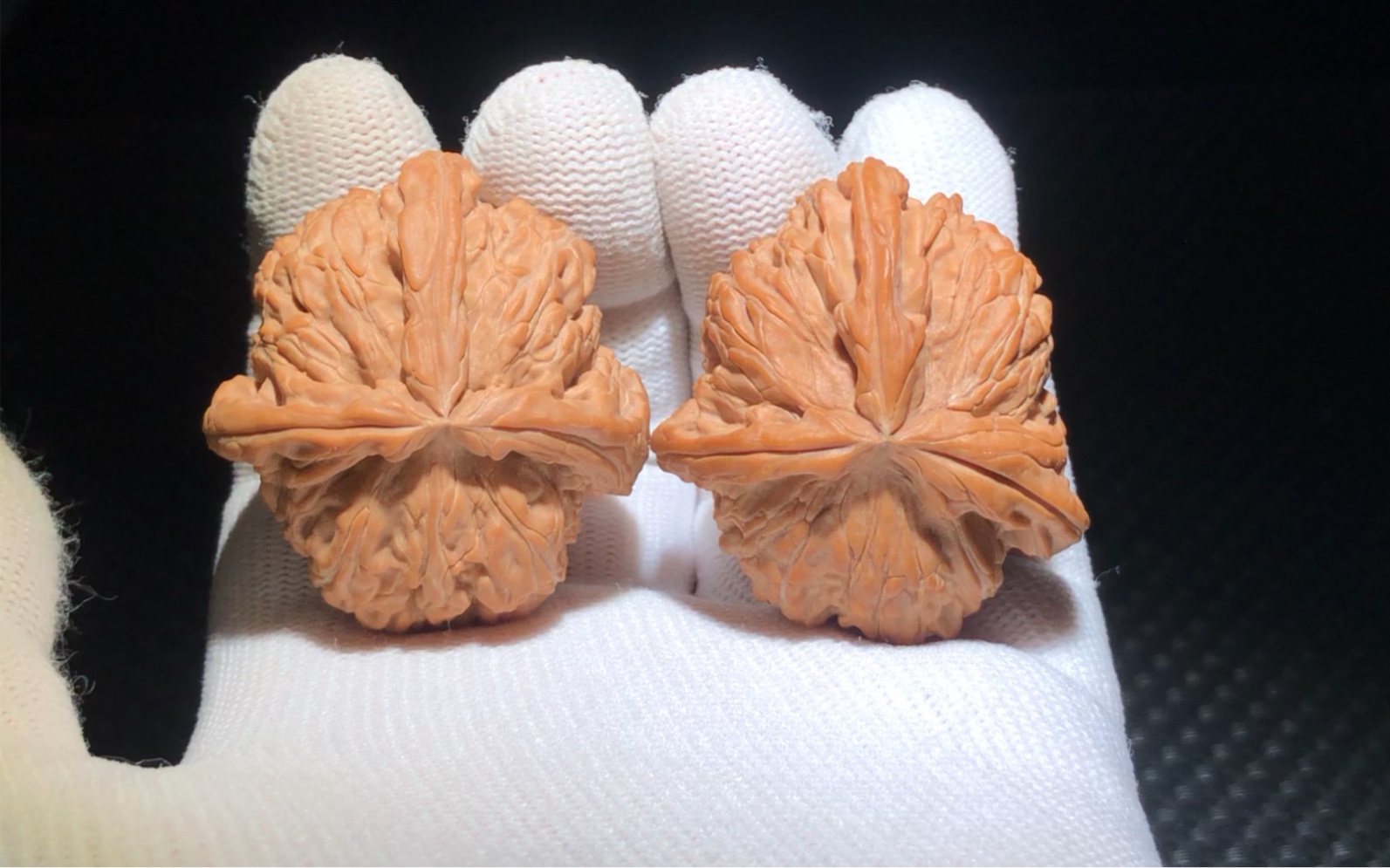 白狮子三棱正丁全品无修