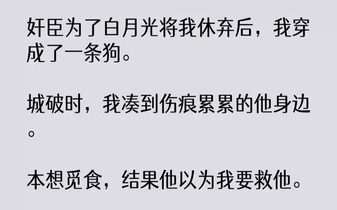 [图]【完结文】奸臣为了白月光将我休弃后，我穿成了一条狗。城破时，我凑到伤痕累累的他身...