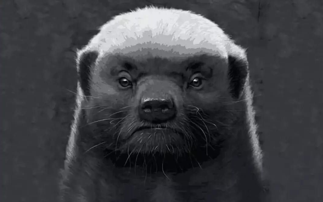 osumania平头哥面条新8段pass