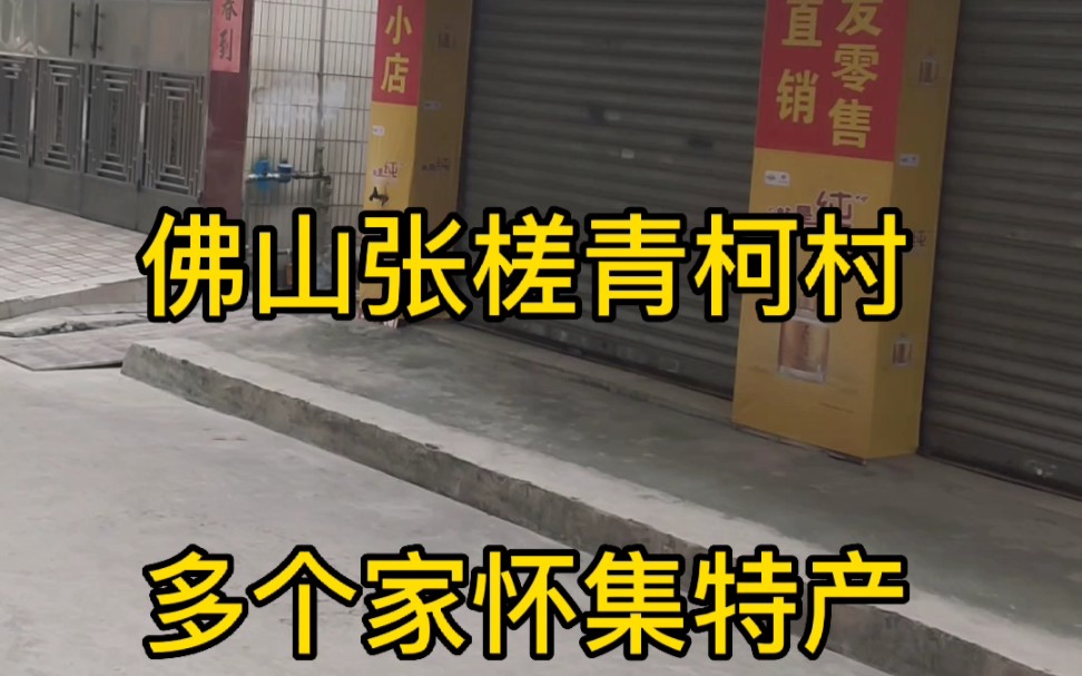 佛山張槎青柯村多個家懷集特產,不知道啥時候開的,路茫才留意到#懷集