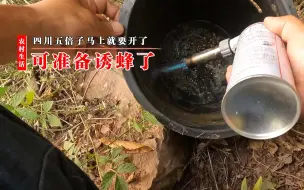 Tải video: 四川蜜源五倍子马上开了，整理诱蜂桶，准备诱蜂了