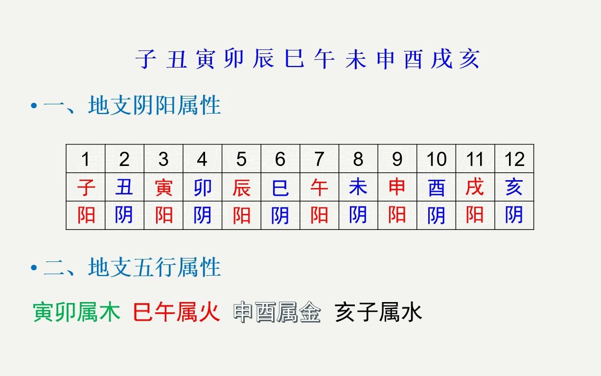 八字基础知识——地 支哔哩哔哩bilibili