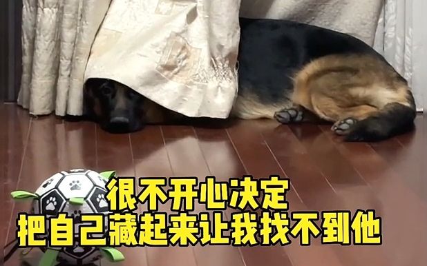 小龅牙发脾气哔哩哔哩bilibili