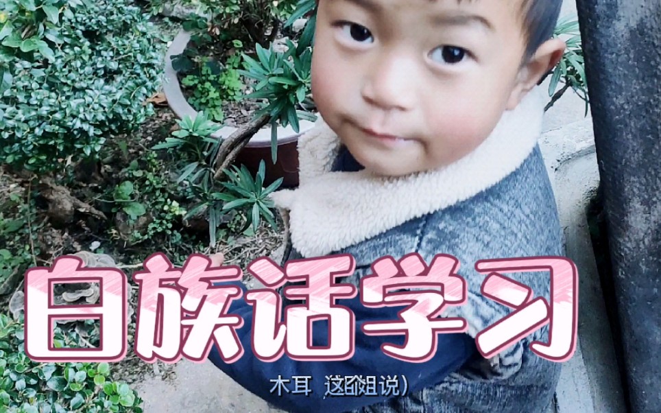 白族话学习/搞笑/和小朋友的那些对话