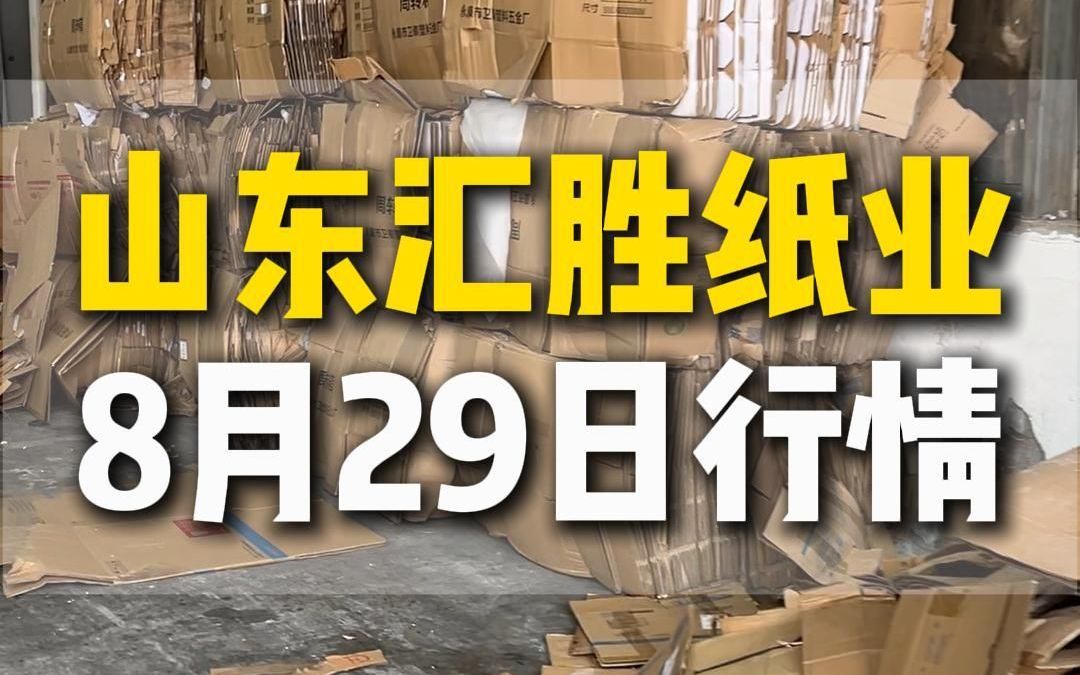 8月29日汇胜集团平原纸业行情参考哔哩哔哩bilibili