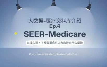 大数据医疗资料库介绍Ep.4 SEERMedicare哔哩哔哩bilibili