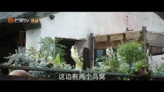 Tải video: 08【去有风的地方】谢之遥要给红豆掏鸟窝被嫌弃了