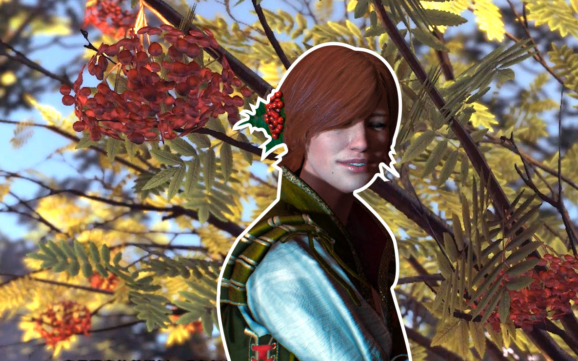 石之心拾遗夏妮保留了送给她的花楸花附彩蛋