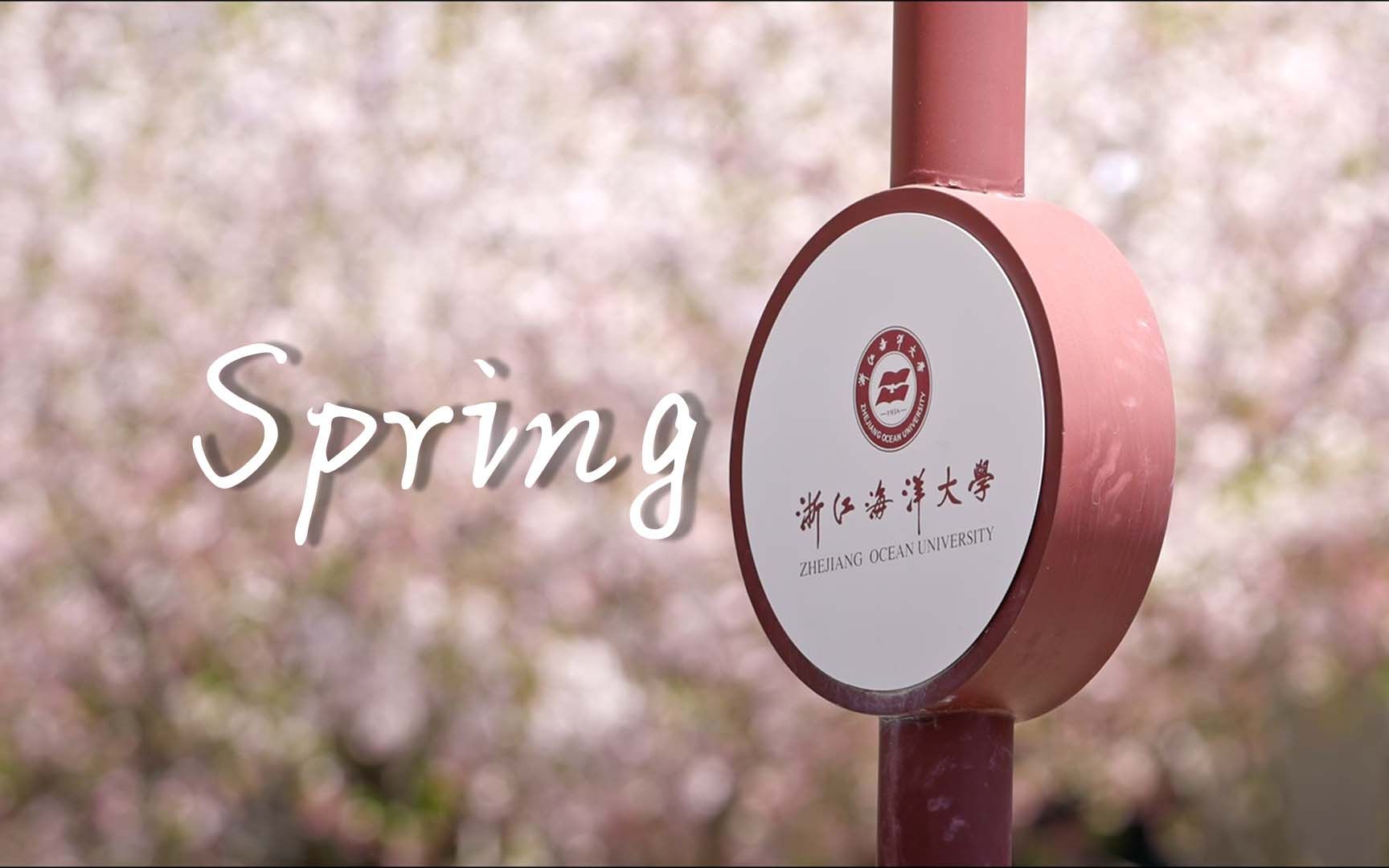 [图]【杜比视界】春天与樱花-《Spring》MV