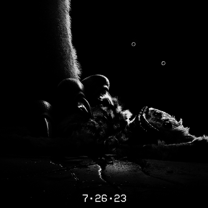 新视频-惊悚之夜预告