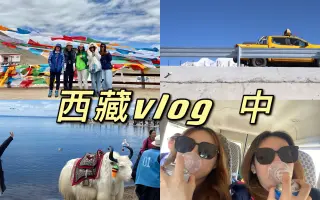 【西藏五人旅游】（中）大学生游日喀则纳木错高原疯狂吸氧偶遇肥嘟嘟狗子