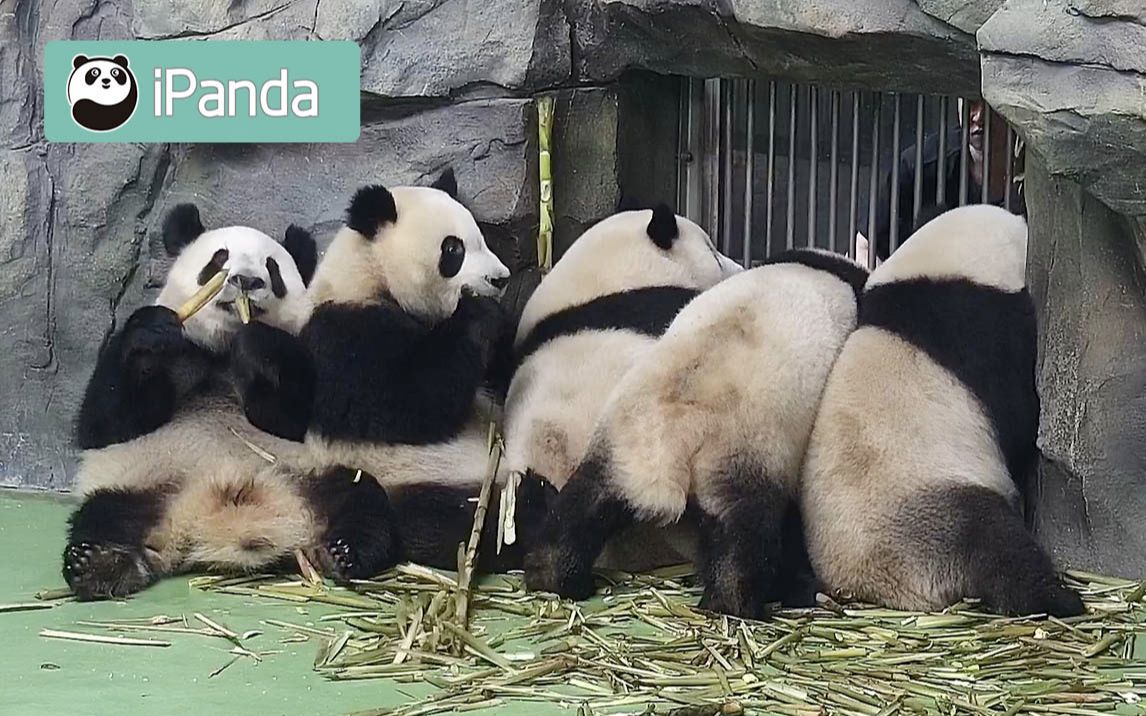 [图]真实！这就是学校食堂开饭的即视感