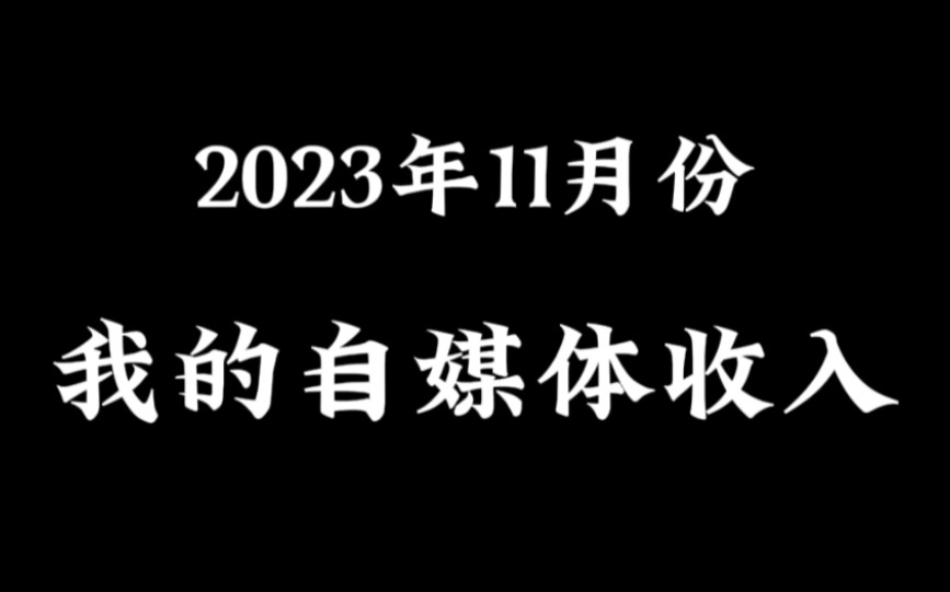 『我在2023年11月份赚了多少钱?——安康自媒体收入公开计划』哔哩哔哩bilibili