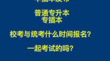 #华插本发布,普通专升本专插本校考与统考什么时间报名?一起考试的吗?哔哩哔哩bilibili