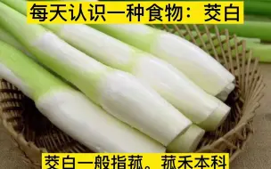 Descargar video: 每天了解一种食物-茭白