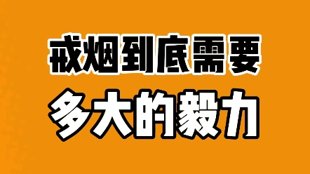 [图]没有足够强的毅力就戒不掉烟？